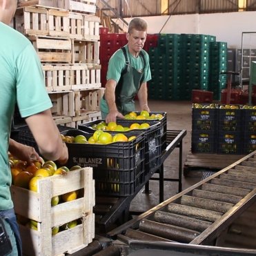 PACKING - HOUSE