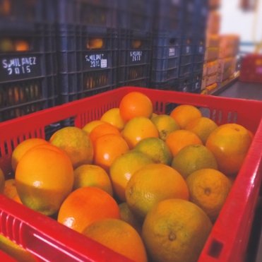 PACKING - HOUSE