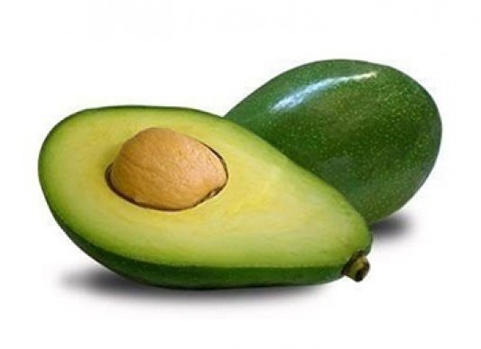 Quintal Quintal